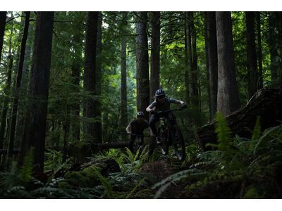 Santa Cruz Vala AL / 70 / MX, gloss lunar grey - Bild 17