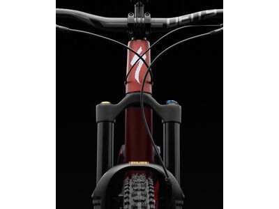 Specialized Stumpjumper 15 Öhlins Coil - 29/27.5, satin copper speckle/satin silver dust - Bild 8