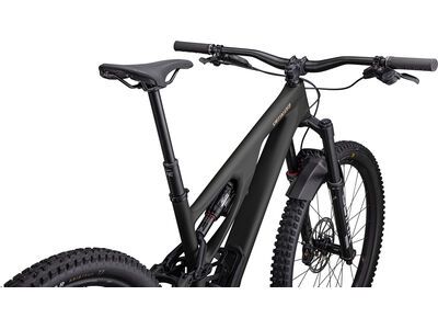 ***2. Wahl*** Specialized Stumpjumper Evo LTD dark moss green - Bild 10