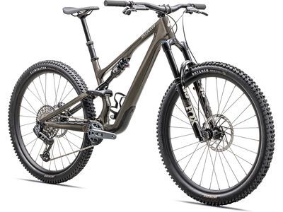 Specialized Stumpjumper 15 Expert - 29/29, gunmetal/white mountains - Bild 2