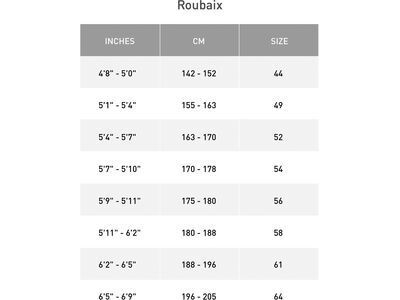 Specialized Roubaix SL8 Sport – Shimano 105, champagne/smoke - Bild 4