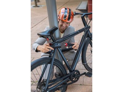 Abus Goose Lock 4204K/110, black - Bild 3