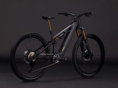 Cube Stereo Hybrid One44 HPC AT 800 29, carbon´n´gold - Bild 2