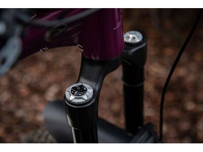 OAK Components Forkcap HSC für Fox 34, 36, 38, 40, raw - Bild 2