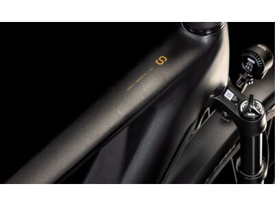 Cube Kathmandu Hybrid SLT 800, golddust´n´black - Bild 2