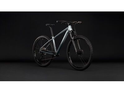 Cube Aim Pro 29, grey´n´black - Bild 7