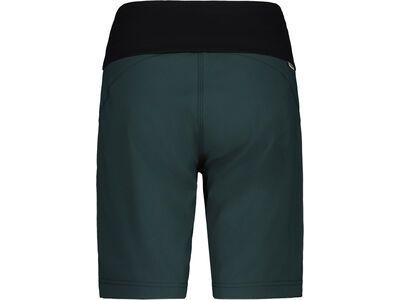 Maloja BadusM., mountain pine - Bild 2