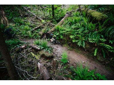 Santa Cruz Hightower C / GX AXS / 29, translucent purple - Bild 12