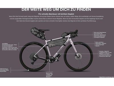 Santa Cruz Stigmata CC / Rival 2x AXS, gloss black sparkle - Bild 4