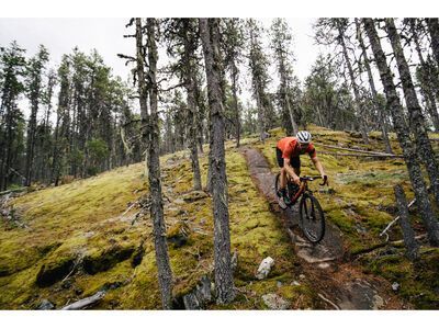 Santa Cruz Stigmata CC / Apex, british racing green - Bild 16