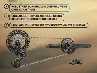 ***2. Wahl*** Amflow PL Carbon - 800 Wh satin silver - Bild 7