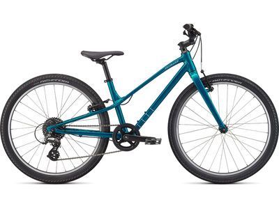 Specialized Jett 24 Multispeed teal tint/flake silver