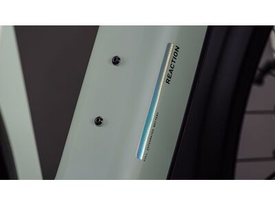 Cube Reaction Hybrid Pro 800 FE 29, desertstone´n´driedherbs - Bild 4