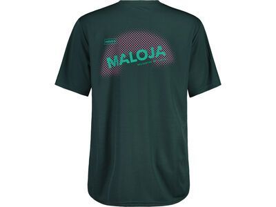 Maloja StaubachM., mountain pine - Bild 2