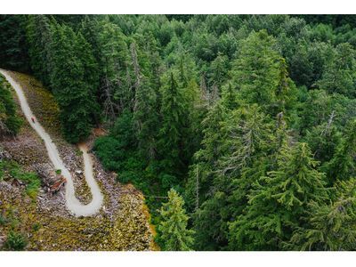 Santa Cruz Stigmata CC / Apex, british racing green - Bild 19