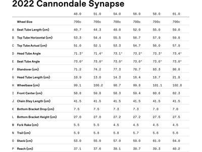 ***2. Wahl*** Cannondale Synapse Carbon 2 RL black pearl - Bild 11