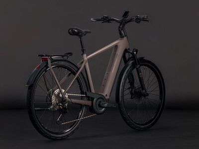 Cube Kathmandu Hybrid EXC 800, cedar´n´chrome - Bild 2