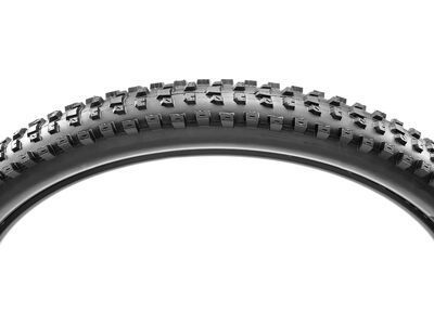 Maxxis Dissector 3C MaxxTerra EXO+ TR - 29 Zoll - Bild 3