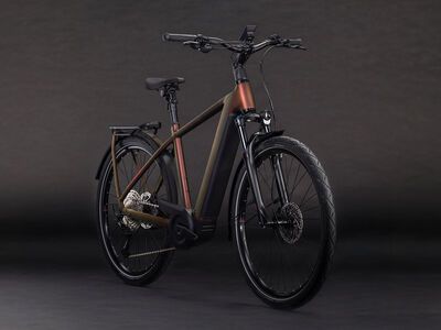 Cube Kathmandu Hybrid Pro 800, sunglow´n´chrome - Bild 2