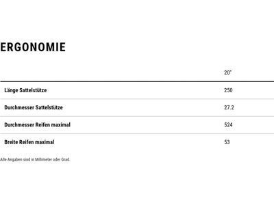 Cube Acid 200, molotov´n´pink - Bild 7