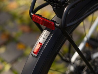 Cube Nulane C:62 SLX FE, desertstone´n´green - Bild 11