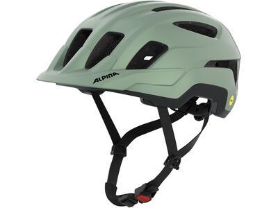 Alpina Paranus MIPS, willow-green matt