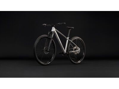 Cube Reaction Pro 29, platinum´n´black - Bild 9
