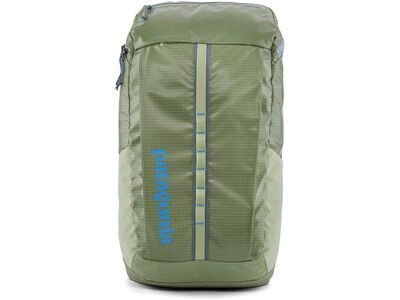 Patagonia Black Hole Pack 25L friend green