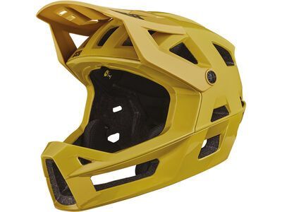 IXS Trigger FF MIPS acacia