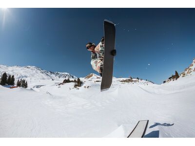 Bataleon Wallie - Bild 6