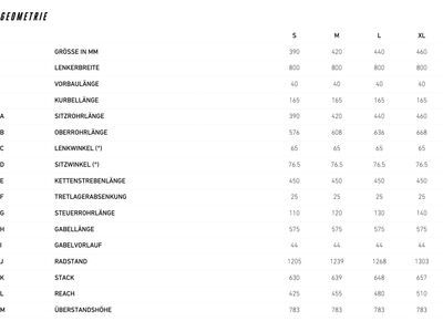 Focus Jam² 6.7 - 600, white / adamantsilver - Bild 5