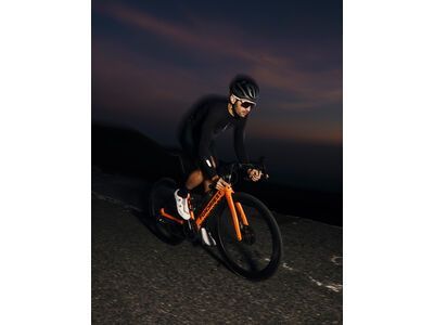 Q36.5 Dottore Pro Jersey, black - Bild 2