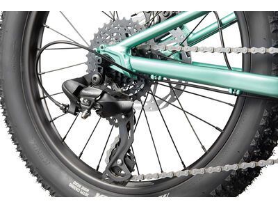 Cannondale Kids Trail Plus 20, cactus green - Bild 5