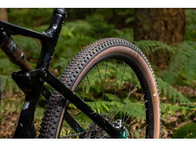 Schwalbe Rick XC Pro Evo Addix Speed TLR - 29 Zoll, transp. sidewall - Bild 21