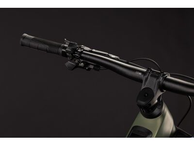 Cube Stereo Hybrid One77 HPC TM 800, reedgreen´n´gills - Bild 2