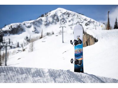 Lib Tech Glider - Bild 11