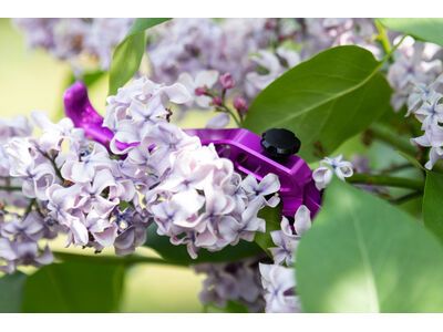 OAK Components RLP Bremshebel Set - Magura, purple - Bild 8