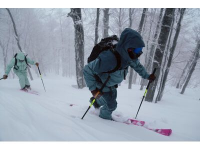 Black Crows Duos Freebird, black/yellow - Bild 10