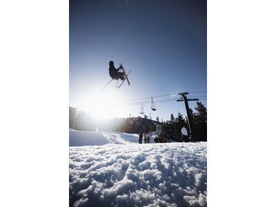 Line Chronic 94 - Bild 20