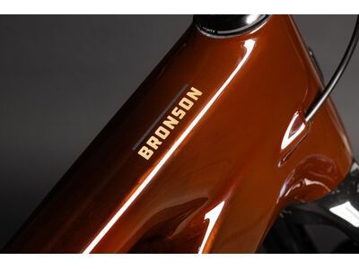 Santa Cruz Bronson C / R / MX, translucent root beer - Bild 6