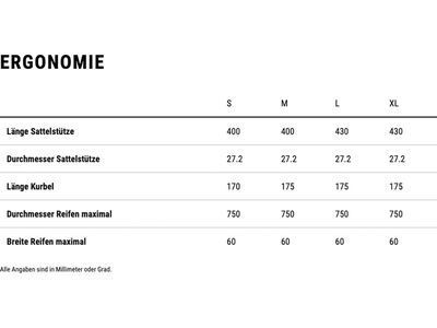 Cube Phenix C:68X SLT, teamline - Bild 9