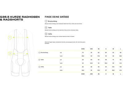 Q36.5 Gregarius Pro Bib Shorts Women, gravel grey - Bild 6