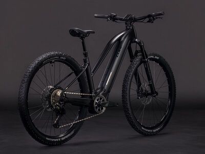 Cube Reaction Hybrid SLX 800 Trapeze 29, silverdust´n´chrome - Bild 2