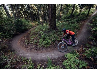 Santa Cruz Heckler SL C / GX AXS / MX, matte silver - Bild 17