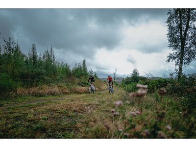 Schwalbe G-One R Pro Addix Race / Race Pro V-Guard - 700C - Bild 18