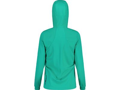 Maloja SennesM., polar light - Bild 2