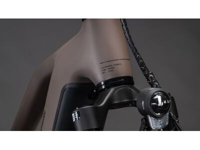 Cube Kathmandu Hybrid EXC 800 Trapeze, cedar´n´chrome - Bild 7