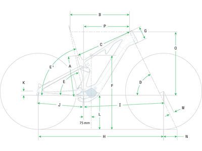 ***2. Wahl*** Cannondale Moterra Carbon SL 2 tiger shark - Bild 11