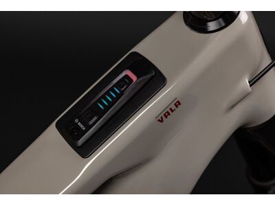 Santa Cruz Vala C / GX AXS / MX, gloss grey - Bild 4