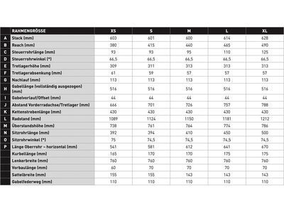 Specialized S-Works Epic World Cup Frameset, satin smoke granite/white silver - Bild 5